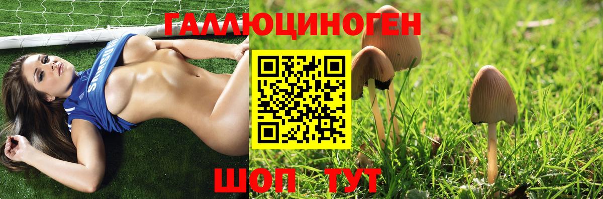 Камень-на-Оби  Псилоцибиновые грибы Psilocybe  Вход с VPN 